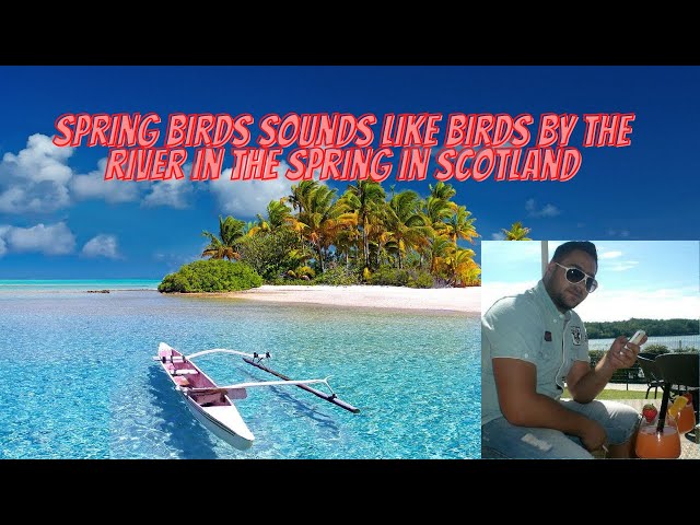 Spring Birds sounds like birds by the river in the spring in Scotland