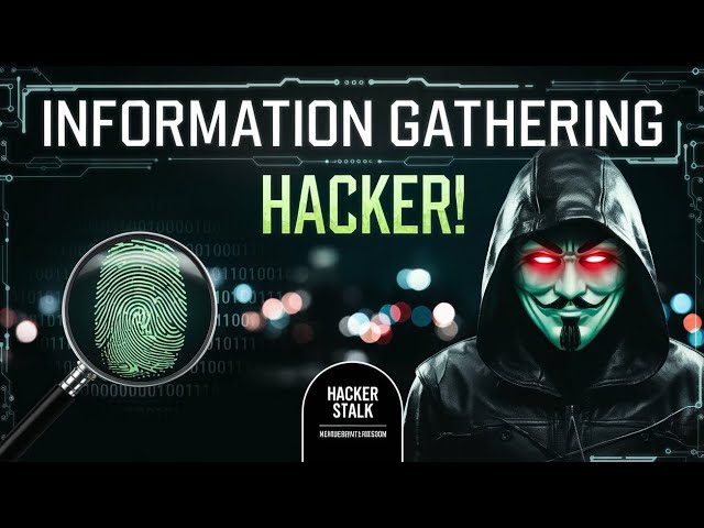 Master Information Gathering in Just 3 Minutes: The Ultimate Guide!