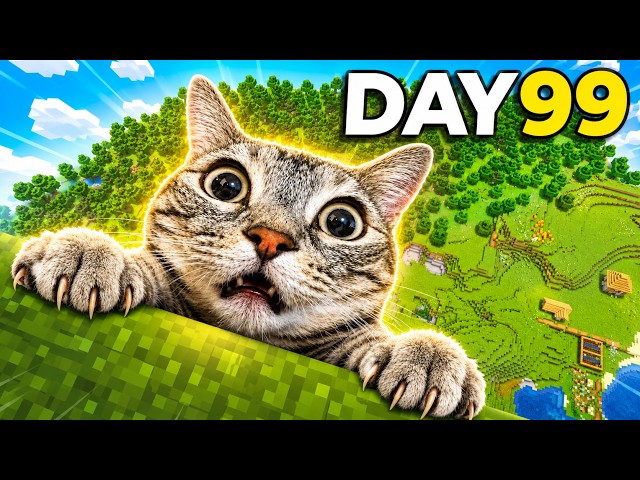 Minecraft but with Cats (Many Modes)