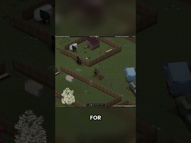 I HATE COWS!!!  #projectzomboid #gaming #zombie