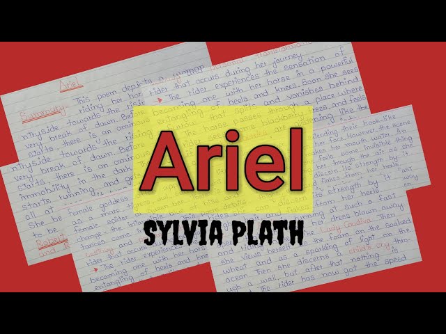Ariel by Sylvia Plath | Poem Summary | @englishstudynotes4515