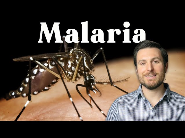 How Humans (almost) Beat Malaria