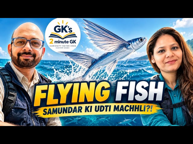 Flying Fish: The Fish That Can Fly! 🐟 | Amazing Marine Facts | 2 Minute GK #flyingfish #marinelife 
