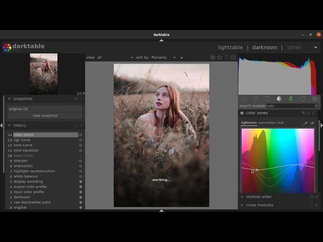 How to color grade a raw photograph using darktable