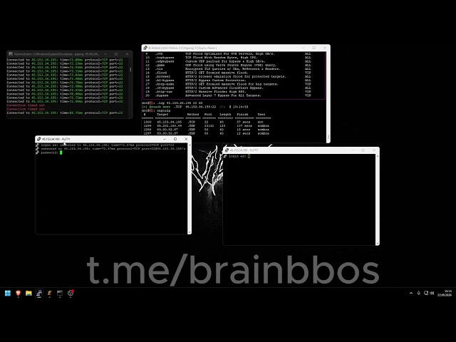 BRAIN C2 VS ARTEMIS C2 | STRONG AND CHEAP C2 & BOTNET 2026 | BEST ON MARKET!