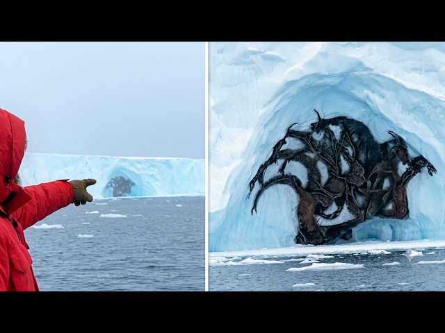 600 Strange Things Happening Right Now Around the World | One In a Billion Moments In Nature!