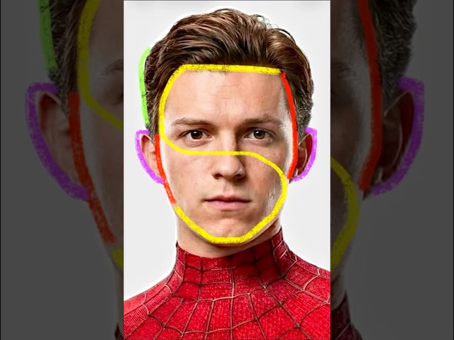 HOW TO DRAW THE SPIDER MAN STEP BY STEP