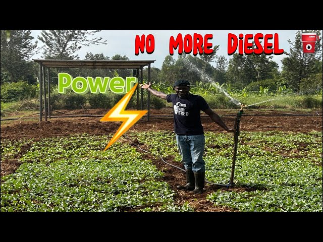Farm Tour, 2024 plan and my new irrigation system (Solar powered farm)