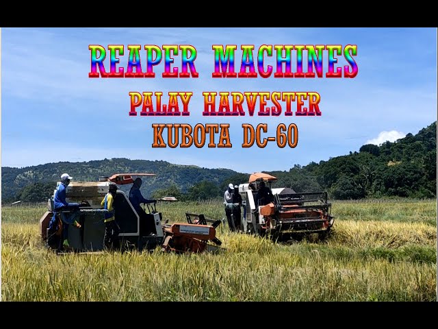 KUBOTA DC60 REAPER MACHINES|RICE HARVESTER|Reynolds MotoVlog