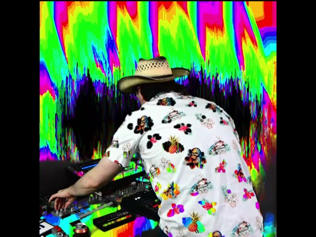Feel the Vibe | Dawless Acid Techno | Roland TB-03 + SP-808 - Behringer RD-8