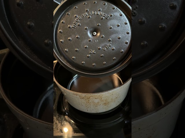 Staub Dutch Oven 5.5qt Review | A Timeless Kitchen Piece!
