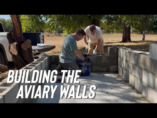 We Got The Walls Built On The Aviary!