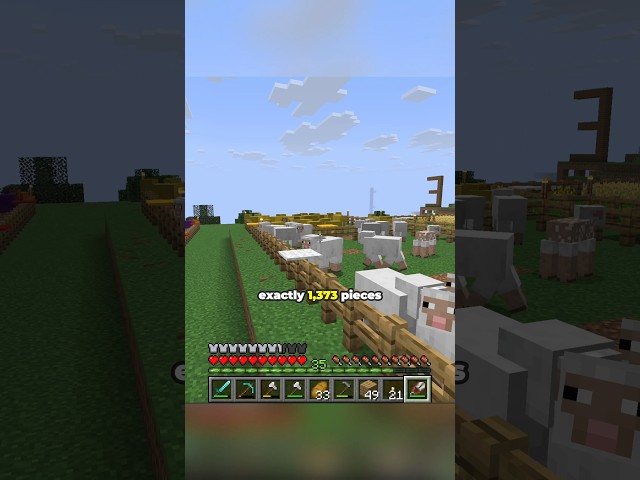 1373 pieces of wool for 1373 subscribers #minecraft