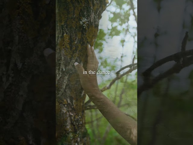 Everything is a being- Omid Safi