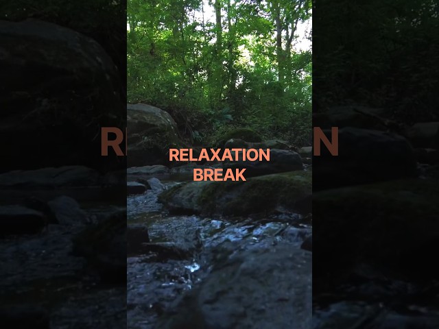 Relaxation Break #nature #mentalhealth #asmr #shorts #water #cozy #outdoors