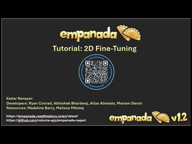 empanada napari Tutorial: 2D Fine-Tuning