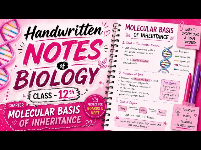 Class 12 Biology Notes | Molecular Basis of Inheritance | Handwritten Notes 