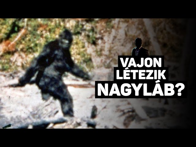 Vajon tényleg létezik Nagyláb? A Patterson-Gimlin-felvétel elemzése