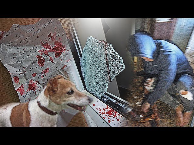 THE MAN WHO CHAINED ROB UP FOR 24 HOURS BROKE INTO HIS HOUSE & STOLE HIS DOG! NOT CLICKBAIT!