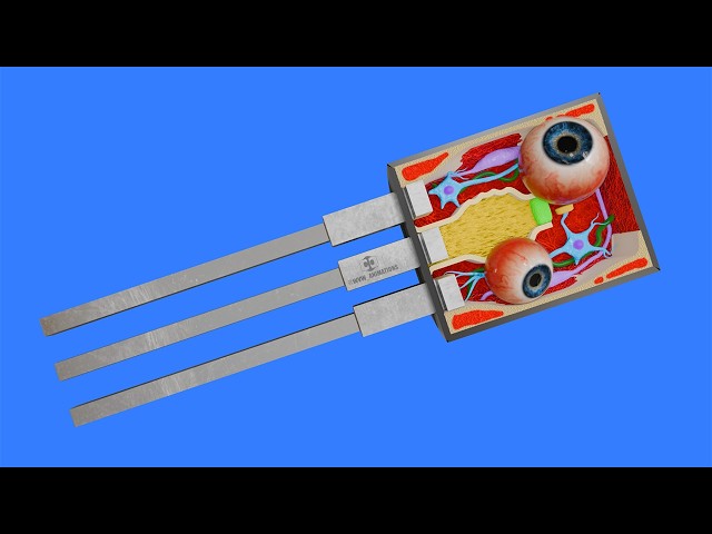 How a Transistor works