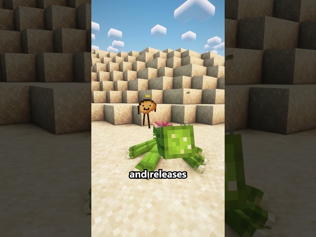 Special Spiders | Mod: Spider Overhaul