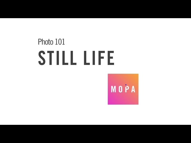 Photo 101: Still Life