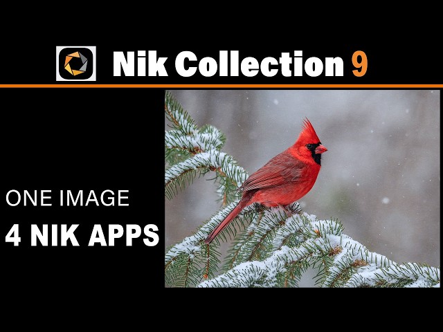Nik Collection 9 Workflow: One Image, 4 Nik Apps