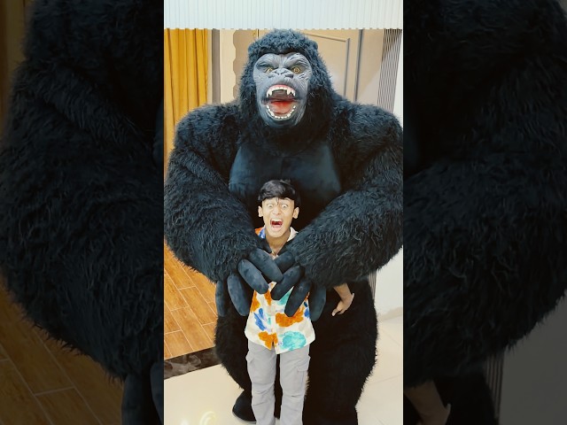 Gorilla Ne Munne Ko Pakkar Lia😳 #funny #comedy #viral #trending #gorilla