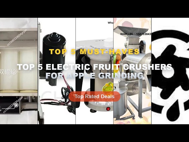 Don't Buy Top 5 Electric Fruit Crushers For Apple Grinding Before Watching This! - Electric Fruit Ap