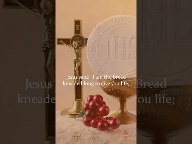 I Received the Living God | Catholic Communion Hymn #shorts #communion #christianity #hymn