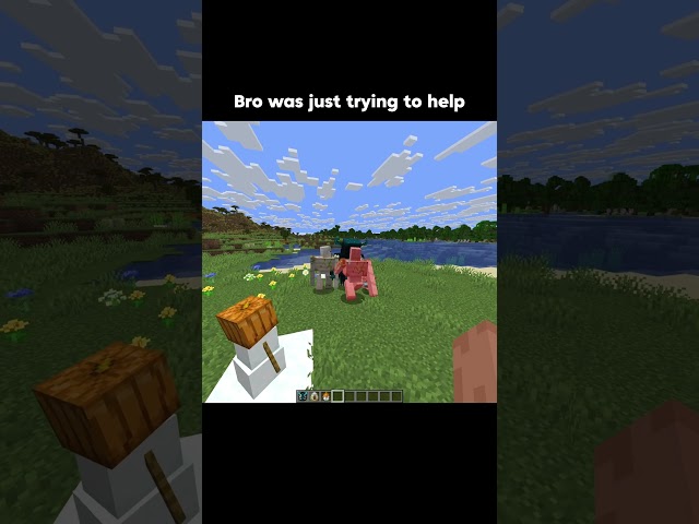 Help