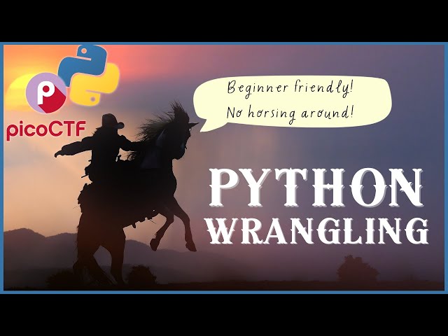 PicoCTF "Python Wrangling" Walkthrough - Run Your First Python Program!