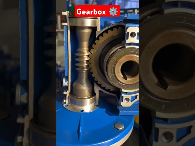 Gear ⚙️