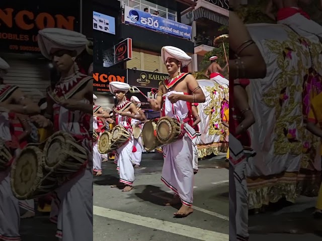 Day 1 of Esala Perahera festival in Kandy, Sri Lanka 🇱🇰