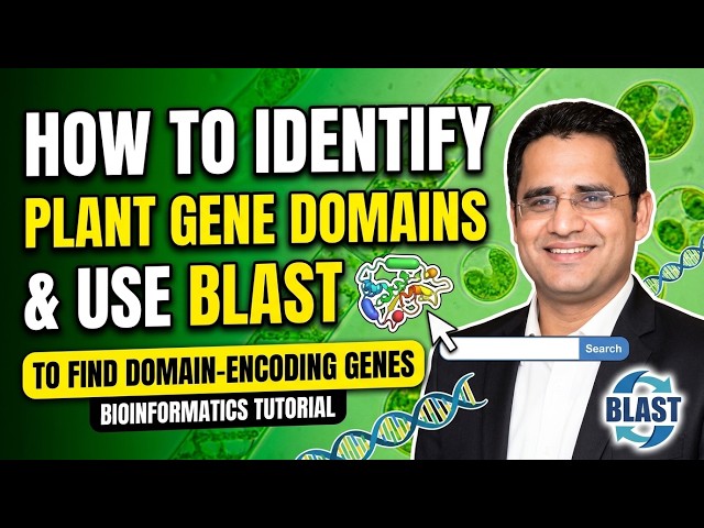 How to Identify Plant Gene Domains &  BLAST to Find Domain-Encoding Genes | Bioinformatics Tutorial