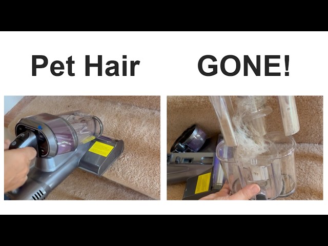 Best Vacuum for Pet Hair on Carpeted Stairs (Rubber Roller Test)