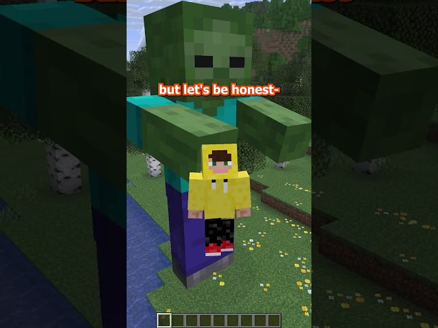 why was the illusioner never added to minecraft???  #minecraft