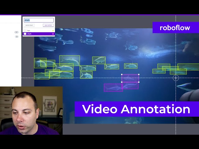 Annotating Videos for Object Detection