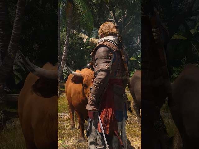 Petting Cow - Assassin's Creed Black Flag Resynced [4K 60FPS Max Settings] #cow  #assassin #petting