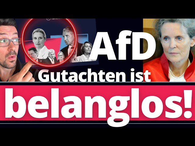 BREAKING: End of the AfD ban fantasies! Ex-Constitutional Court judge suddenly speaks out!!