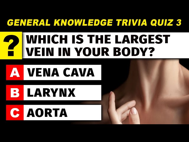 Mixed Knowledge Quiz About Everything | General Knowledge Test | Daily Trivia Quiz 3