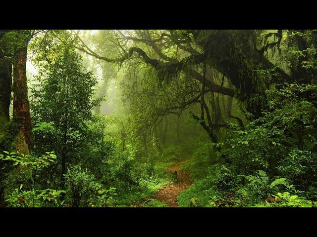 Liquid Drum and Bass Mix #107