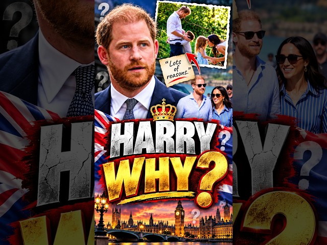 HARRY WHY ?