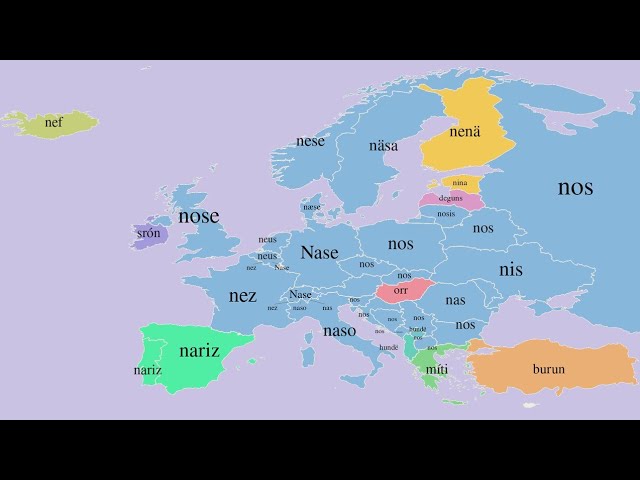 Body Parts | European Languages Comparison