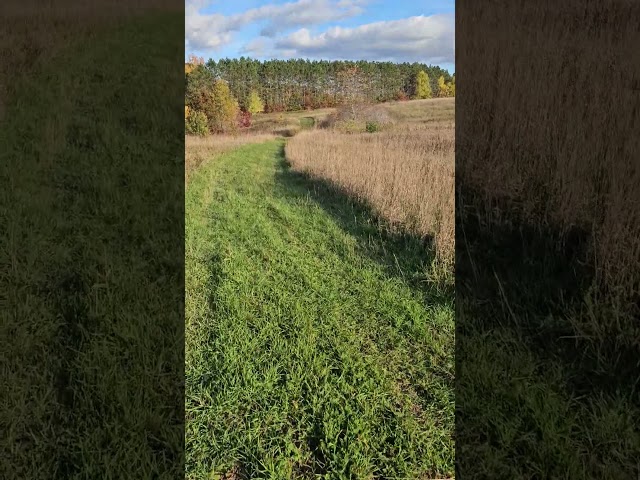 Fall Colors and Changing of Seasons