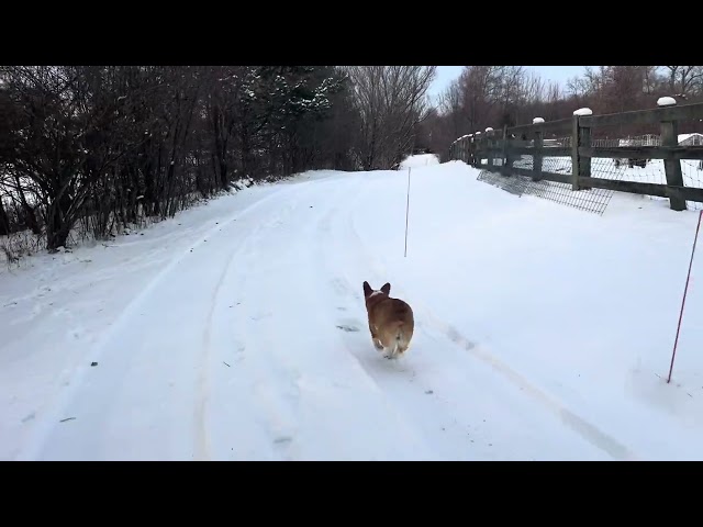 Running with Mya