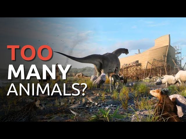 How Could Noah Fit EVERY Type of Animal on the Ark?