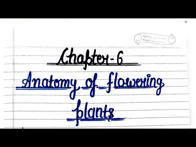 🌸 Anatomy of Flowering Plants || Class 11 Biology 🌿 Handwritten Notes 📝 #notes #biology #class11th 👍