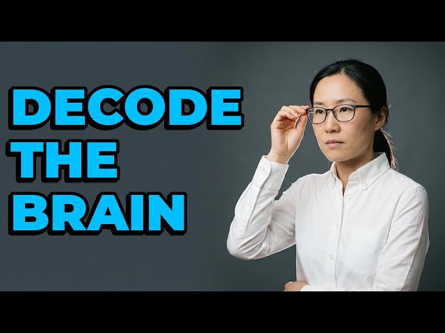 How Does AI Process Complex Neural Data?