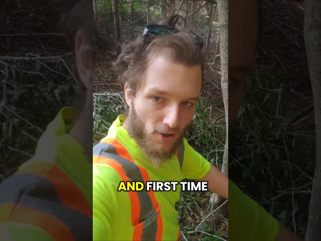 Fake Hiking influencer fail.. #comedy #skit